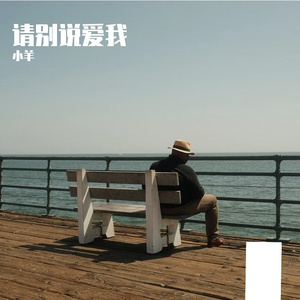 请别说爱我