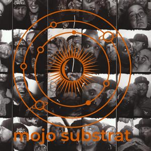 Schwule Sau (Gaytron Cover)