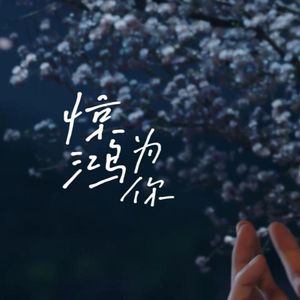 惊鸿为你（朝朝暮暮也是你丨DJ雀跃版）