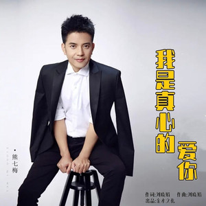 我是真心的爱你 (熊七梅版)