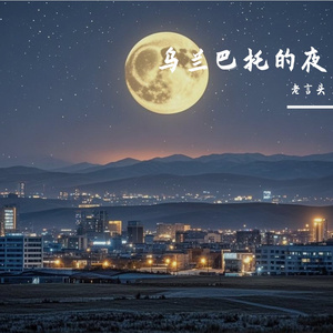 乌兰巴托的夜