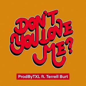 Don't You Love Me (feat. Terrell Burt)