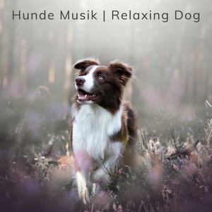 Hundemusikk