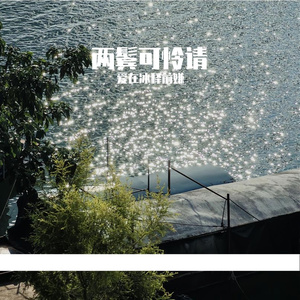 两鬓可怜青