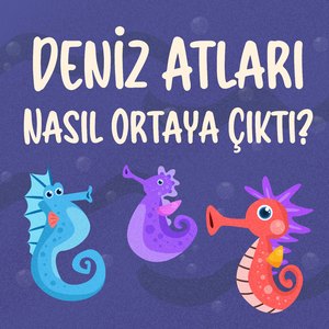 Deniz Atları Nasıl Ortaya Çıktı