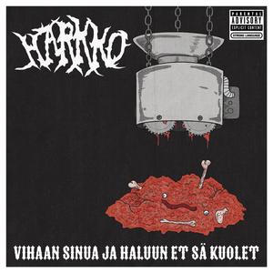 Vihaan sinua ja haluun et sä kuolet