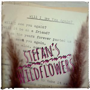 Will I see you again?