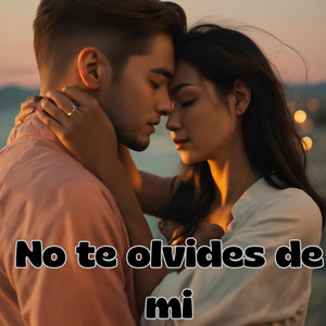 No Te Olvides de Mi