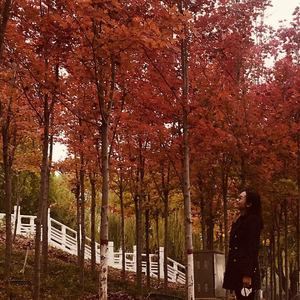 痛过之后的自我归还