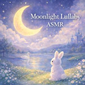 달빛자장가 + 풀벌레 (BGM)