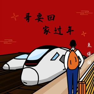 哥要回家过年