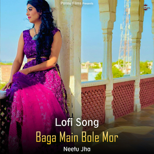 Baga Main Bole Mor - Lofi Song