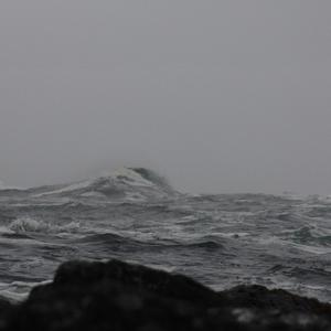Intertidal