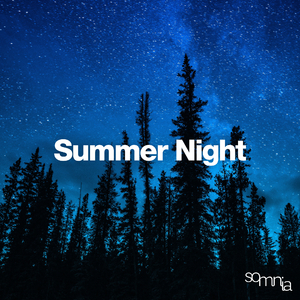Summer Night Pt.22