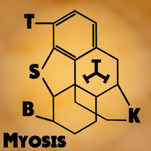 Myosis (Original Mix)