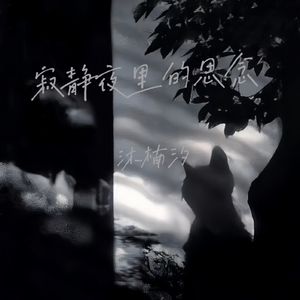 寂静夜里的思念