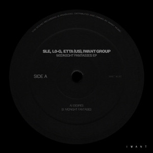 Midnight Fantasies (Radio Edit)