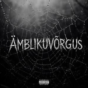 Ämblikuvõrgus