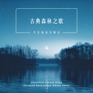 美丽梦想家(钢琴曲)(鸟鸣、虫鸣)