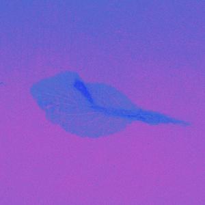 别再让我看到你