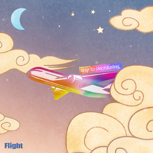 Flight (Prod. 진로)