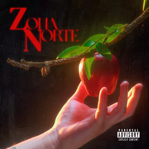 ZONA NORTE