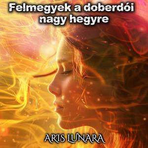 Felmegyek a doberdói nagy hegyre