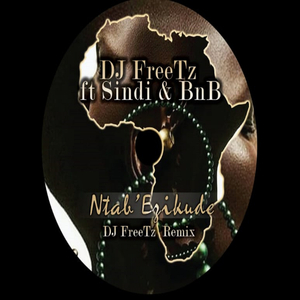 Ntab' Ezikude (DJ FreeTz Instrumental Mix)