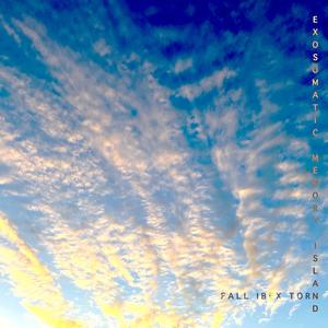 Exosomatic Memory Island