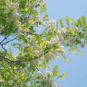 阳光街头乐逍遥