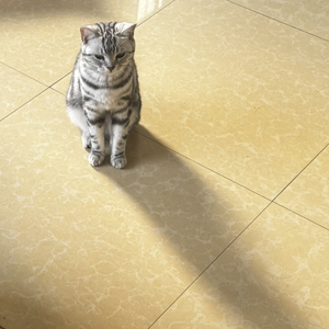 行李箱与城市之间