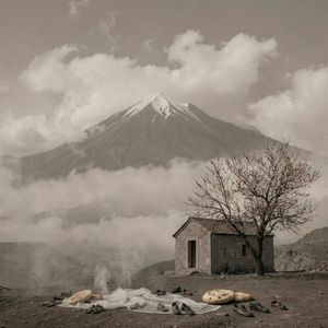 Араратская боль