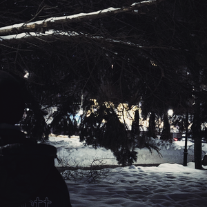 Антарктида