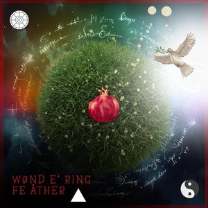 Wondering Feather