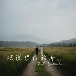 没说出口的再见