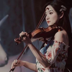 去有风的地方（小提琴版）