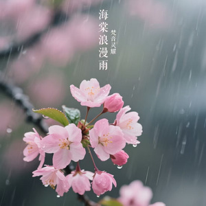 海棠浪漫雨