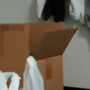 負けてはないんで