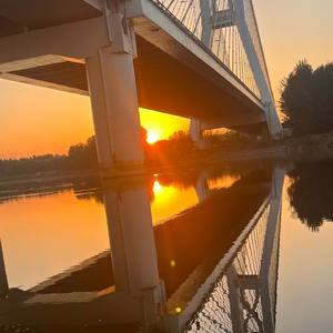 向阳花（龙王夫妇专属cp曲）