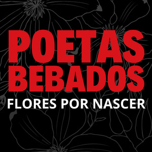 TOMATES VERDES FRITOS