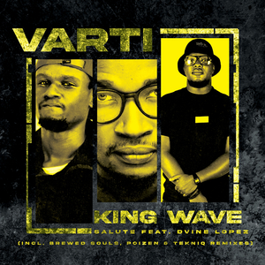 Salute (Poizen Remix)