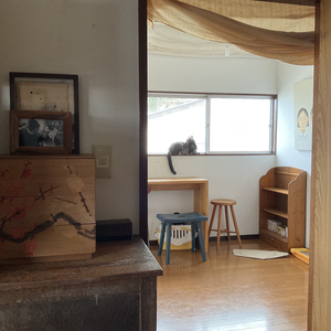 昼下がりのうたた寝