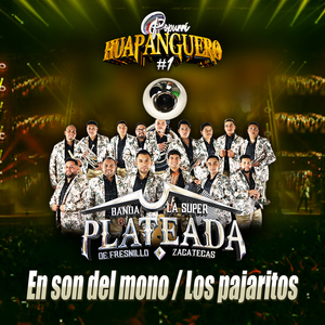 POPURRI HUAPANGUERO: EL SON DEL MONO / LOS PAJARITOS