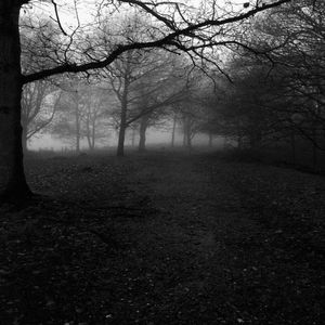 Ne Ne Ne (Kafam Felaket)