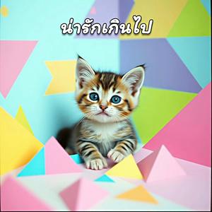 น่ารักเกินไป (Too Cute)