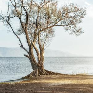你一定要等着我啊（小说《我在风花雪月里等你》宣传曲）