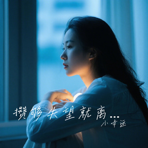 攒够失望就离开
