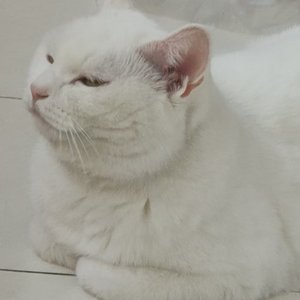 月舫谣