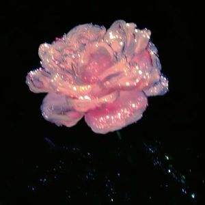 花与梦（Prod.Siren&EVOMUSIC）