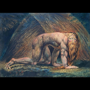 The Clod and the Pebble